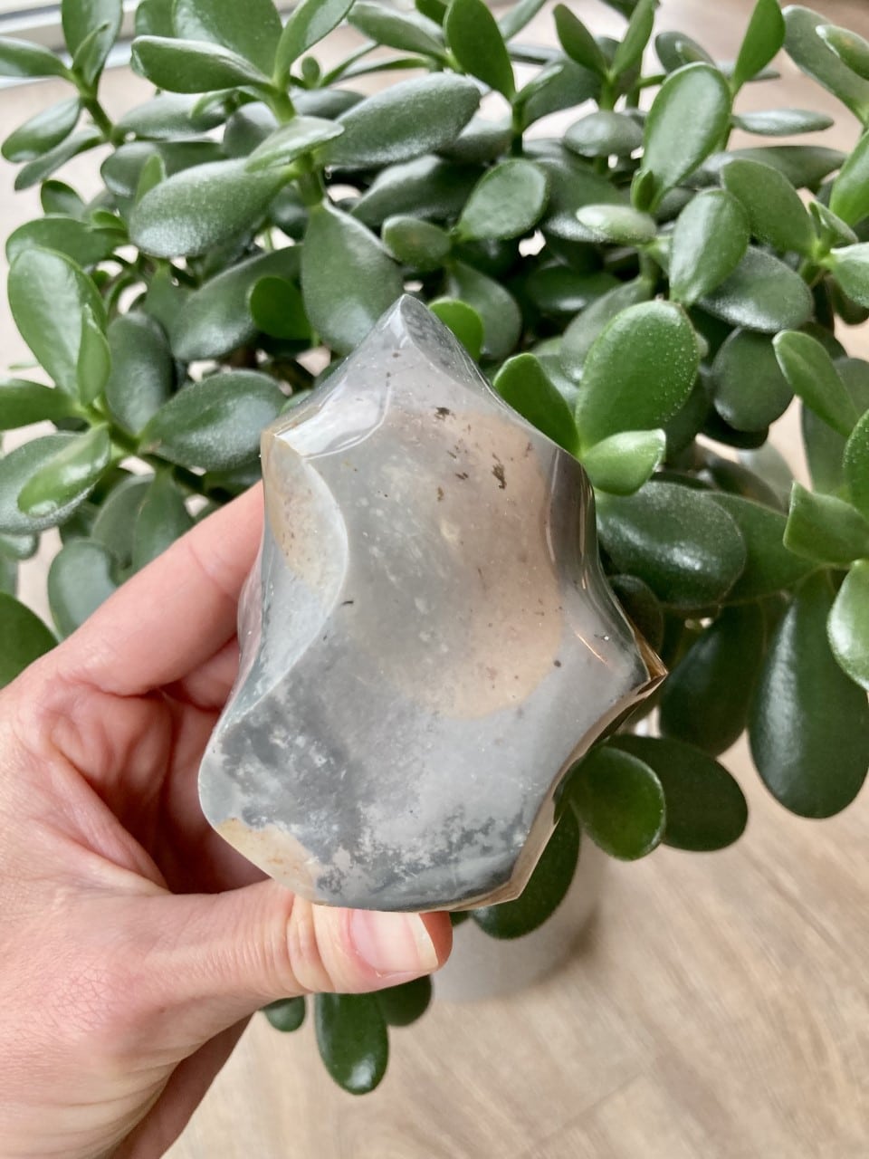 En hånd holder en Jaspis Polychrome flamme foran en grøn plante.
