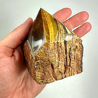 Tigerøje spids