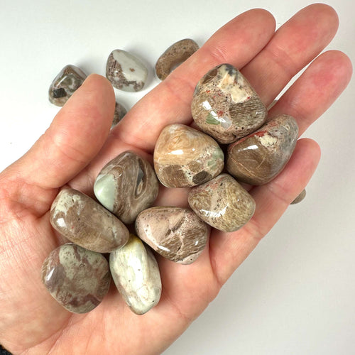 En hånd holder flere glatte, polerede konglomerat lommesten i naturlige nuancer af brunt, gråt, grønt og hvidt. Stenene viser en mangfoldighed af mønstre og farver, som illustrerer deres unikke geologiske sammensætning. Disse sten symboliserer balance og styrke og er ideelle til spirituel praksis, dekoration eller som meditationsværktøj. Baggrunden er enkel og hvid, hvilket fremhæver stenens detaljer.
