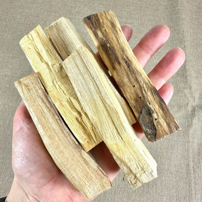 En hånd holder fem større stykker Palo Santo-træ med naturlige variationer i farve og struktur. Træet, kendt som "helligt træ", bruges til spirituel renselse og energiarbejde. Baggrunden er neutral og afdæmpet, hvilket fremhæver de lyse og mørke toner i træets overflade. Palo Santo giver en beroligende duft og anvendes ofte i meditation og aromaterapi.