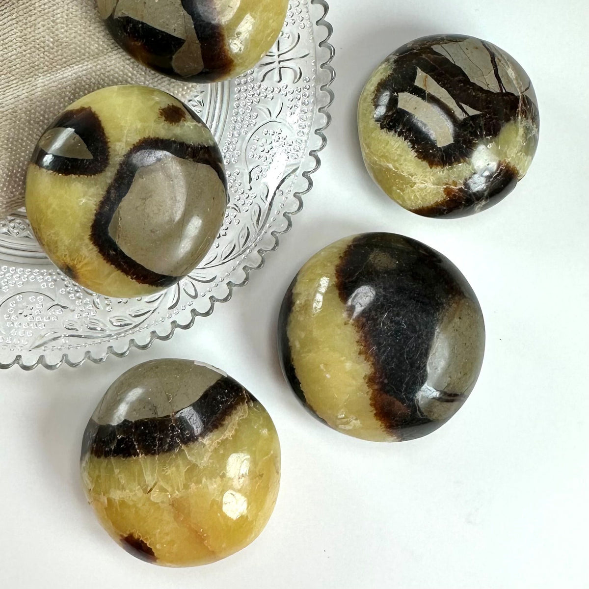 Fem Septarie palmstones på en dekoreret glasbakke, med naturlige mønstre i brune og gule nuancer.