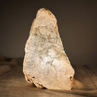 FÉ lampe nr 54