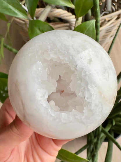 Hånd holder en Druzy Kvarts kugle nr1 med krystaller, baggrund af grønne planter.