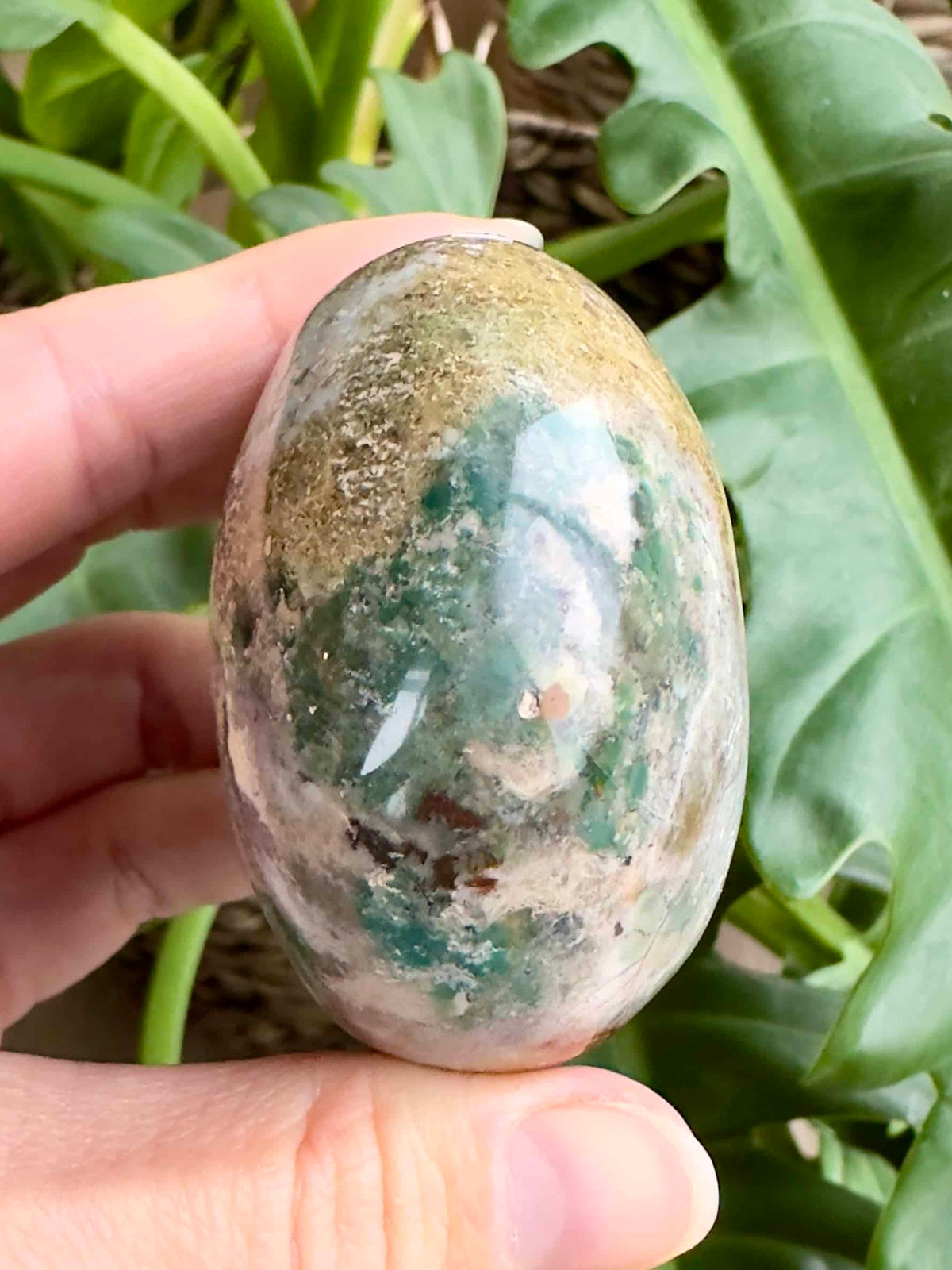 Person holder en Jaspis Hav palmstone foran grønne blade.