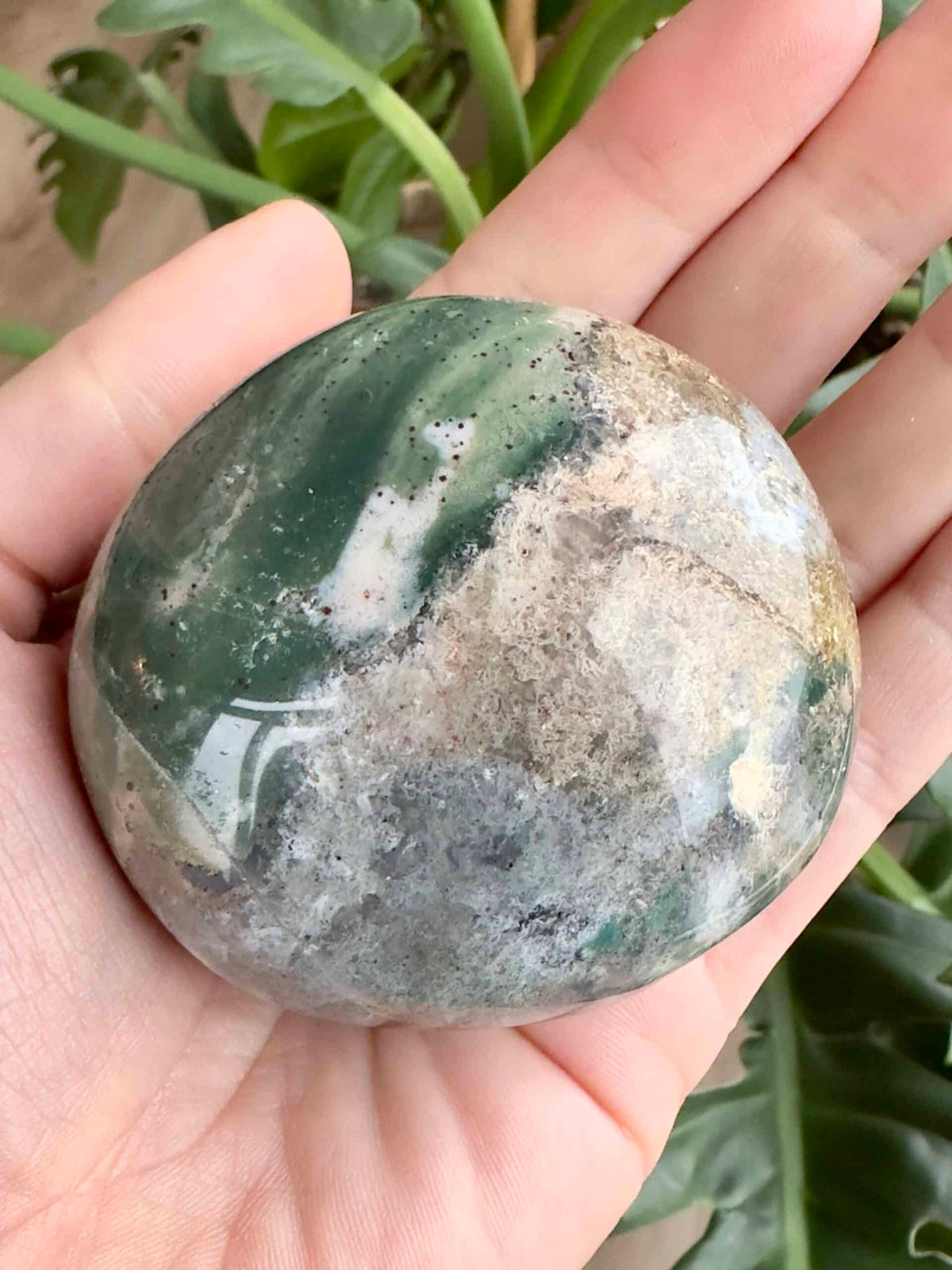Hånd holder en Jaspis Hav palmstone med et naturgrønt og jordfarvet mønster; grønne blade i baggrunden.