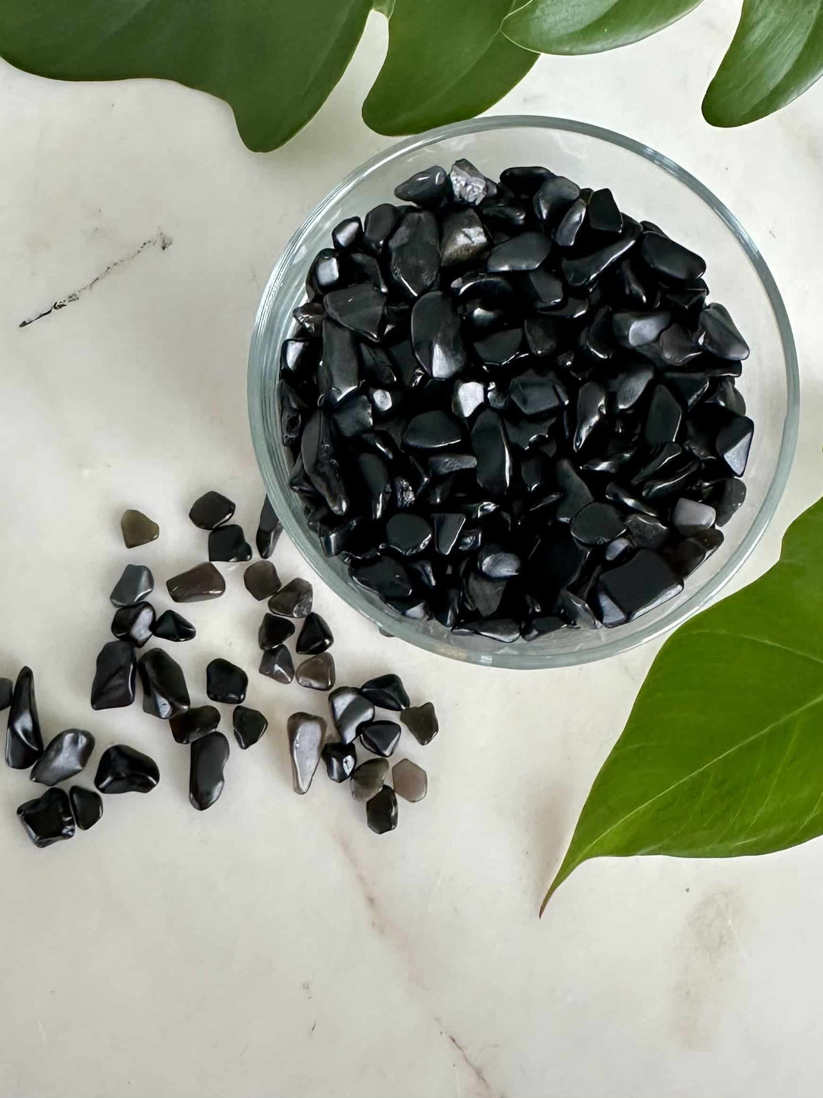 Sort obsidian chips i en glasbeholder på en hvid overflade, omgivet af grønne blade.