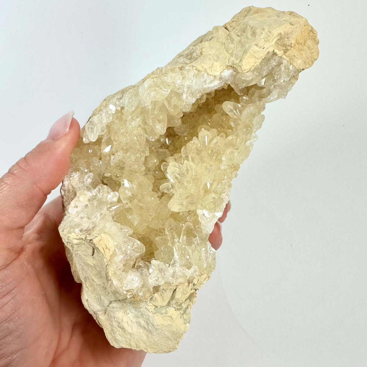 Håndholder gul calcit geode med krystaller mod hvid baggrund.