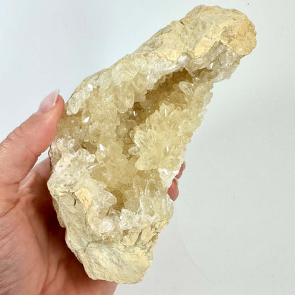 Håndholder gul calcit geode med krystaller mod hvid baggrund.
