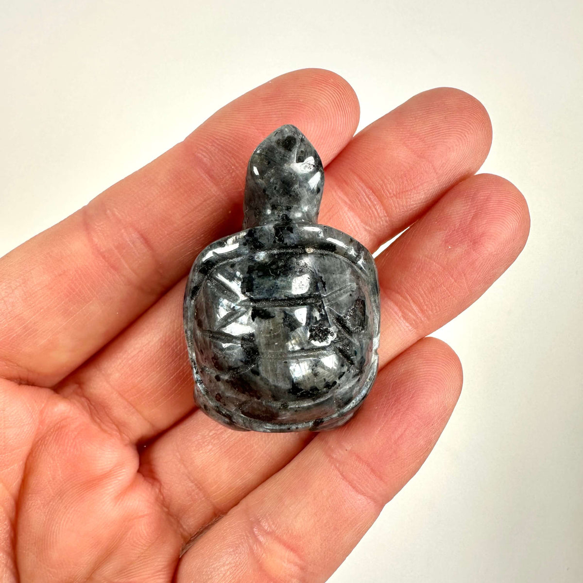 Hånd holder en larvikit skildpaddefigur mod en hvid baggrund.