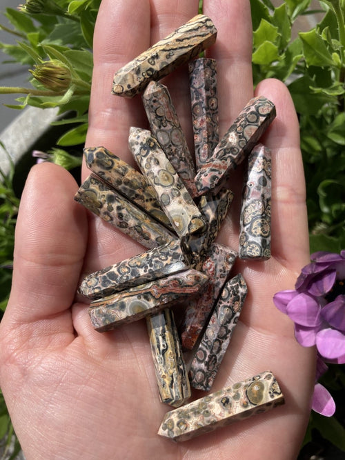 Håndfuld af jaspis leopard spidser med unikke mønstre og farver, omringet af grønne blade og lilla blomst.