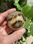 Septarie kugle nr 2