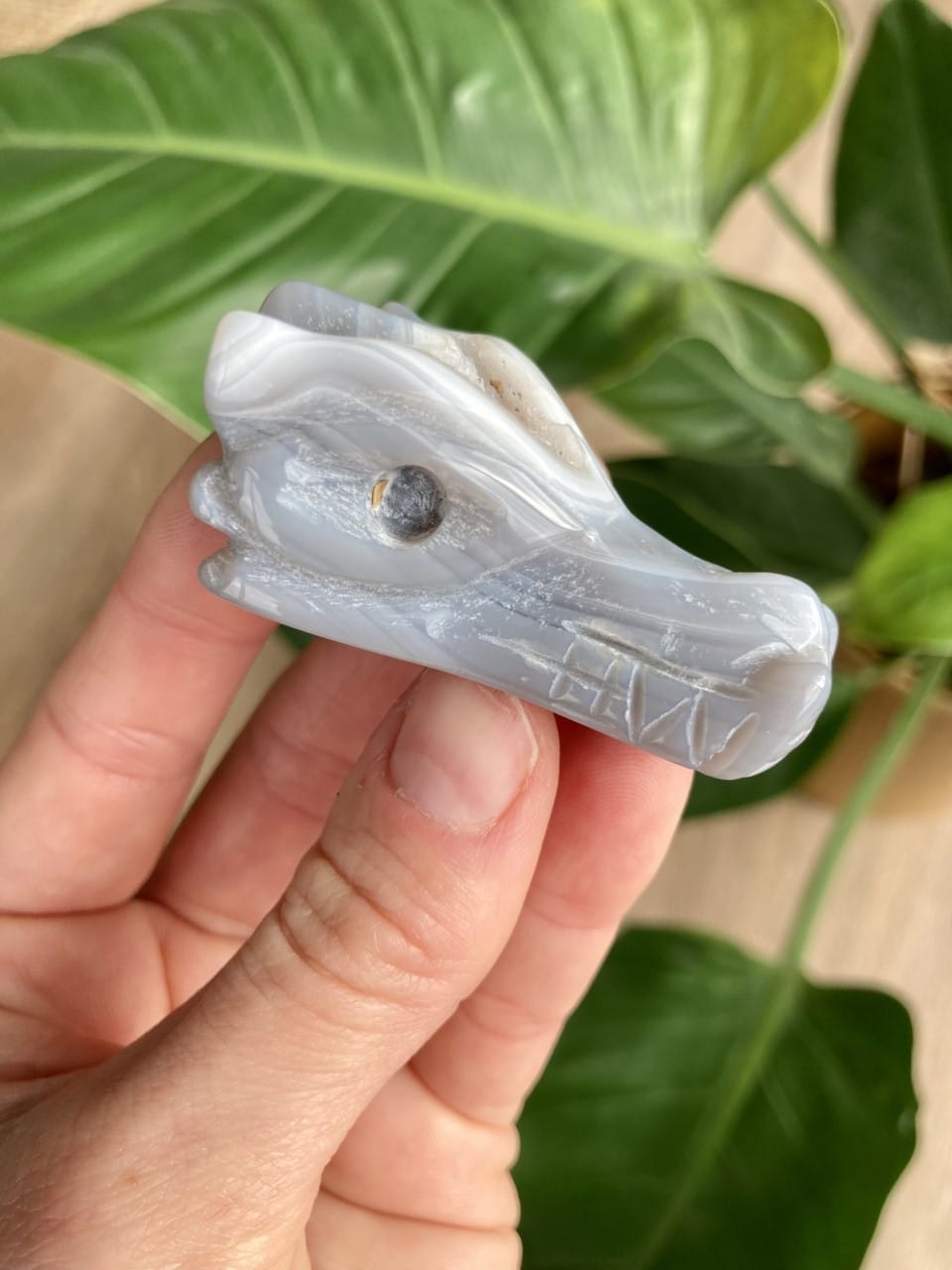 Hånd, der holder en lille agat natur dragefigur foran grønne blade i baggrunden.