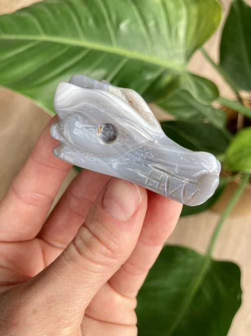 Hånd, der holder en lille agat natur dragefigur foran grønne blade i baggrunden.