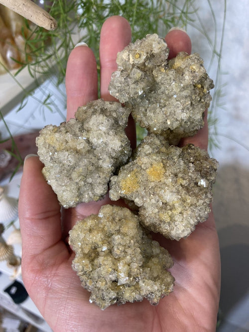 Menneskehånd holder fire gyldne kvarts-mineraler; baggrund med grønne planter.
