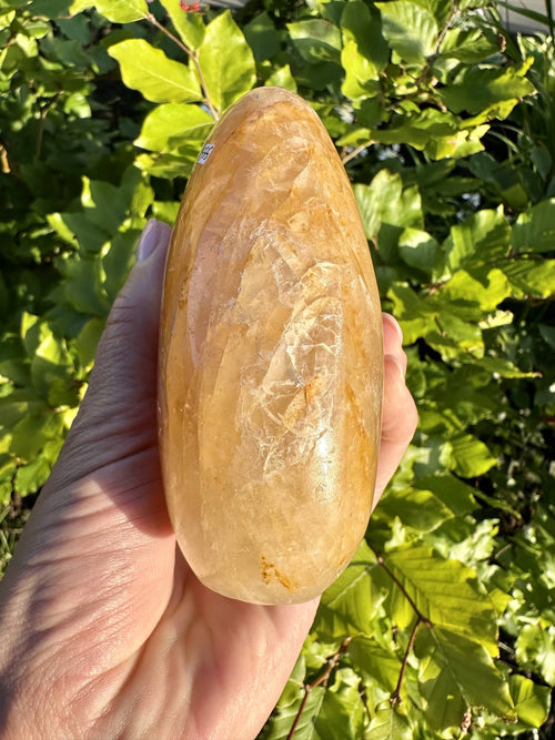 Hånd holder en Golden Healer fri form krystal med grønne blade i baggrunden.