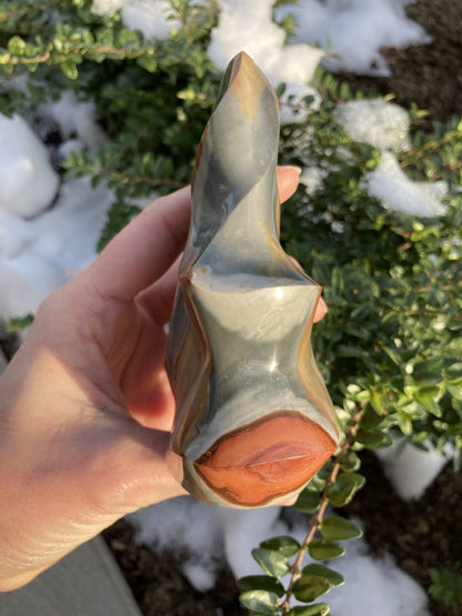 En hånd holder en Jaspis Polychrome flamme foran grønne og sne-dækkede planter.