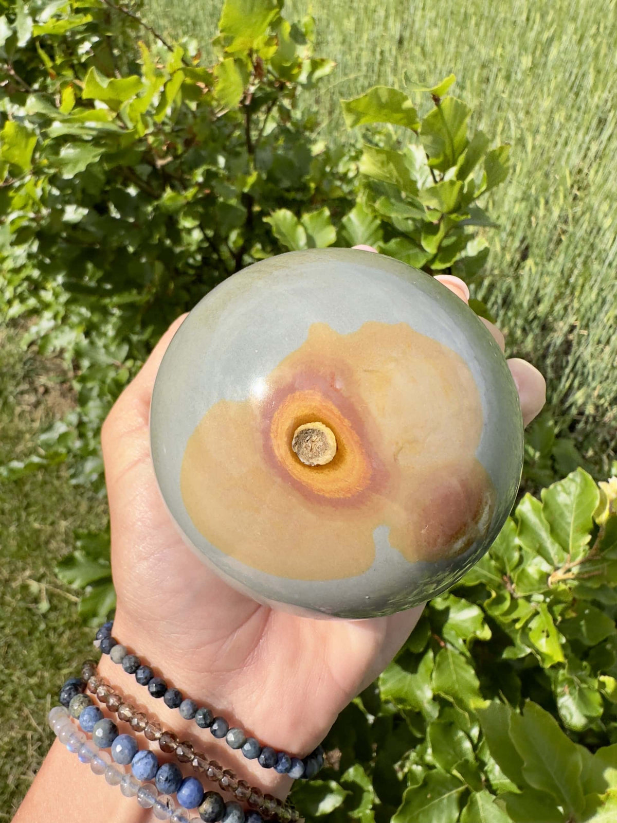 Hånd holder en Jaspis Polychrome kugle i en have med grønne planter i baggrunden.