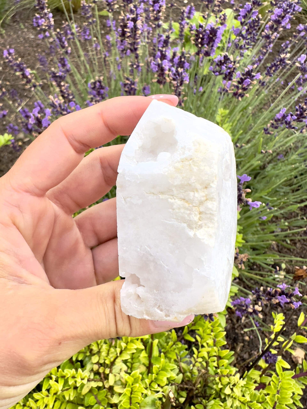 Hånd holder et kvarts geode tårn foran blomstrende lavendelplanter i sollys.
