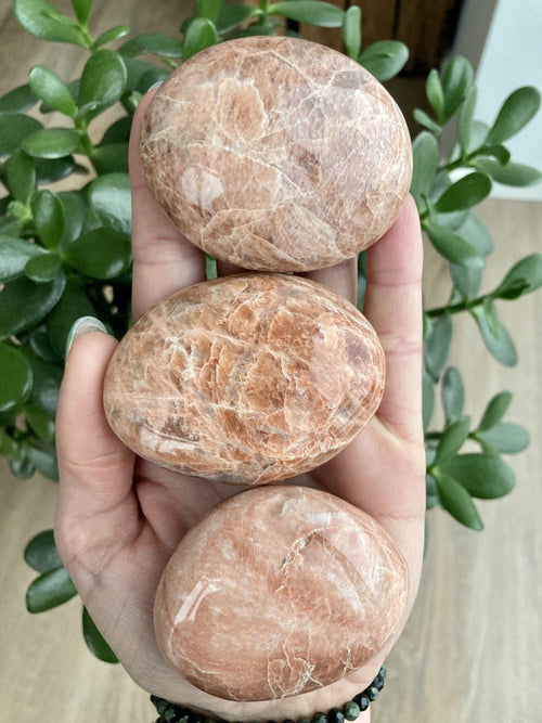 En hånd holder tre Fersken Månesten palmstones, omgivet af grønne planter i baggrunden.