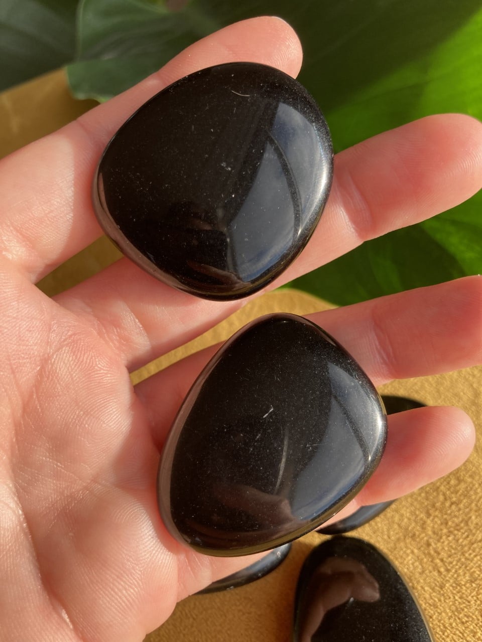 To stykker sort obsidian holdes i en hånd mod en grøn baggrund.