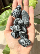 Obsidian Snefnug lommesten