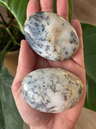 Opal Dendrit palmstones