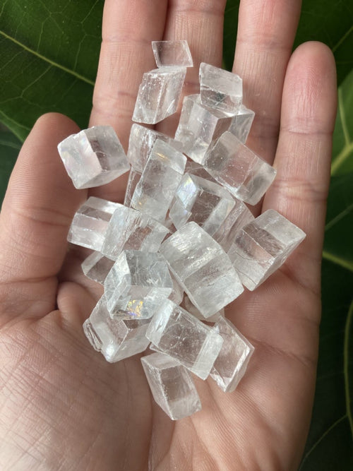 Håndfuld klare Optisk Calcit-krystaller på en baggrund af grønne blade.