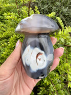 Orca Agat paddehat