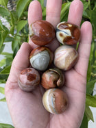 Jaspis Polychrome