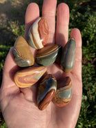 Jaspis Polychrome dråber