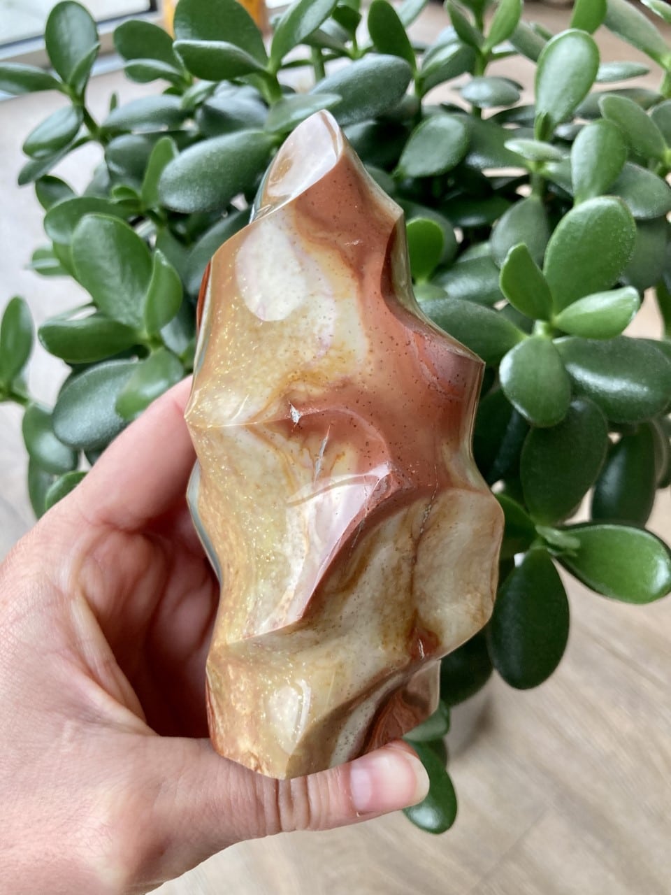 Hånd holder en Jaspis Polychrome flamme foran en grøn plante.
