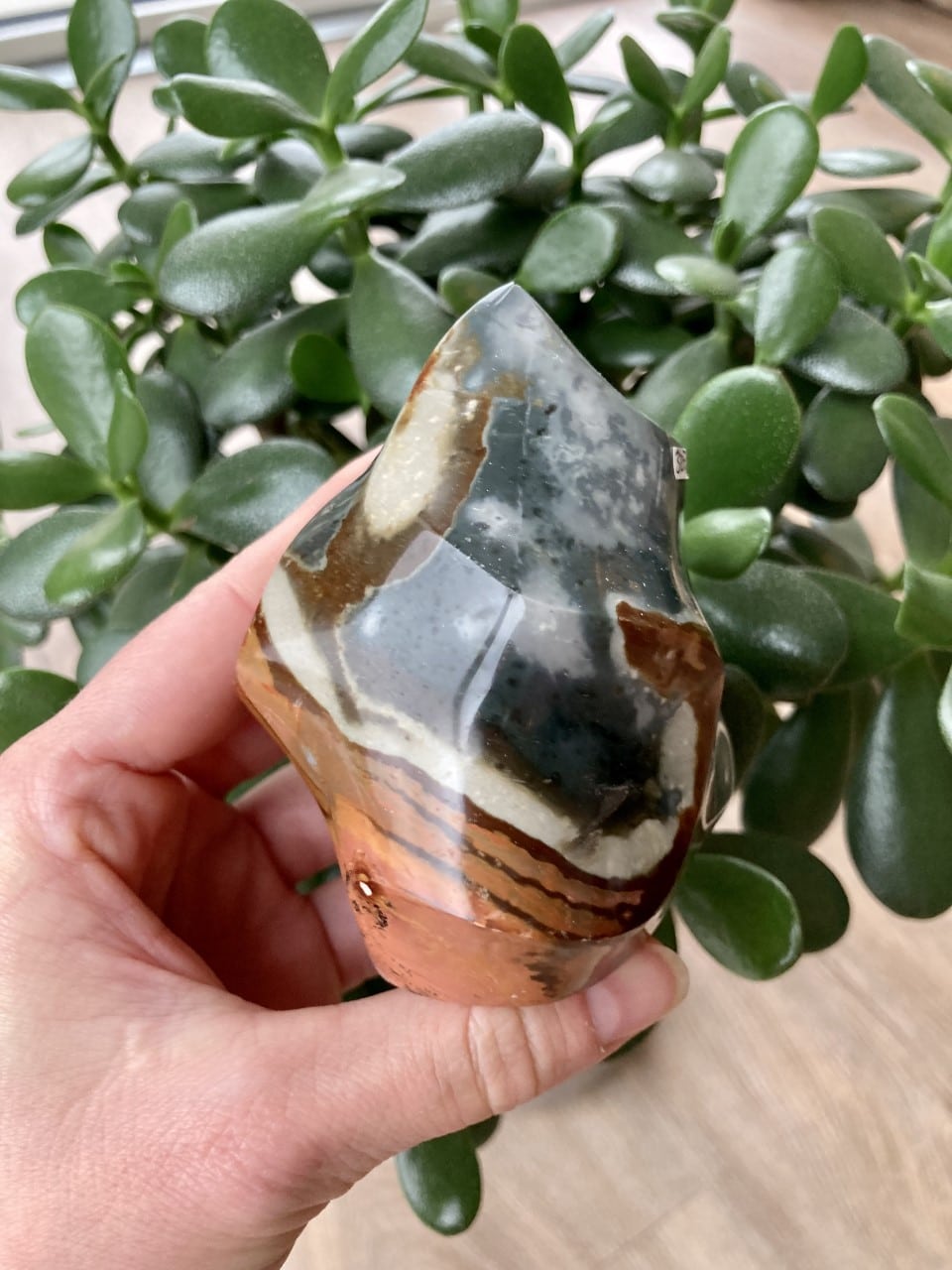 En hånd holder en Jaspis Polychrome flamme foran en grøn plante.