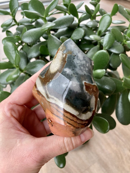 En hånd holder en Jaspis Polychrome flamme foran en grøn plante.