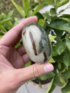 Jaspis Polychrome