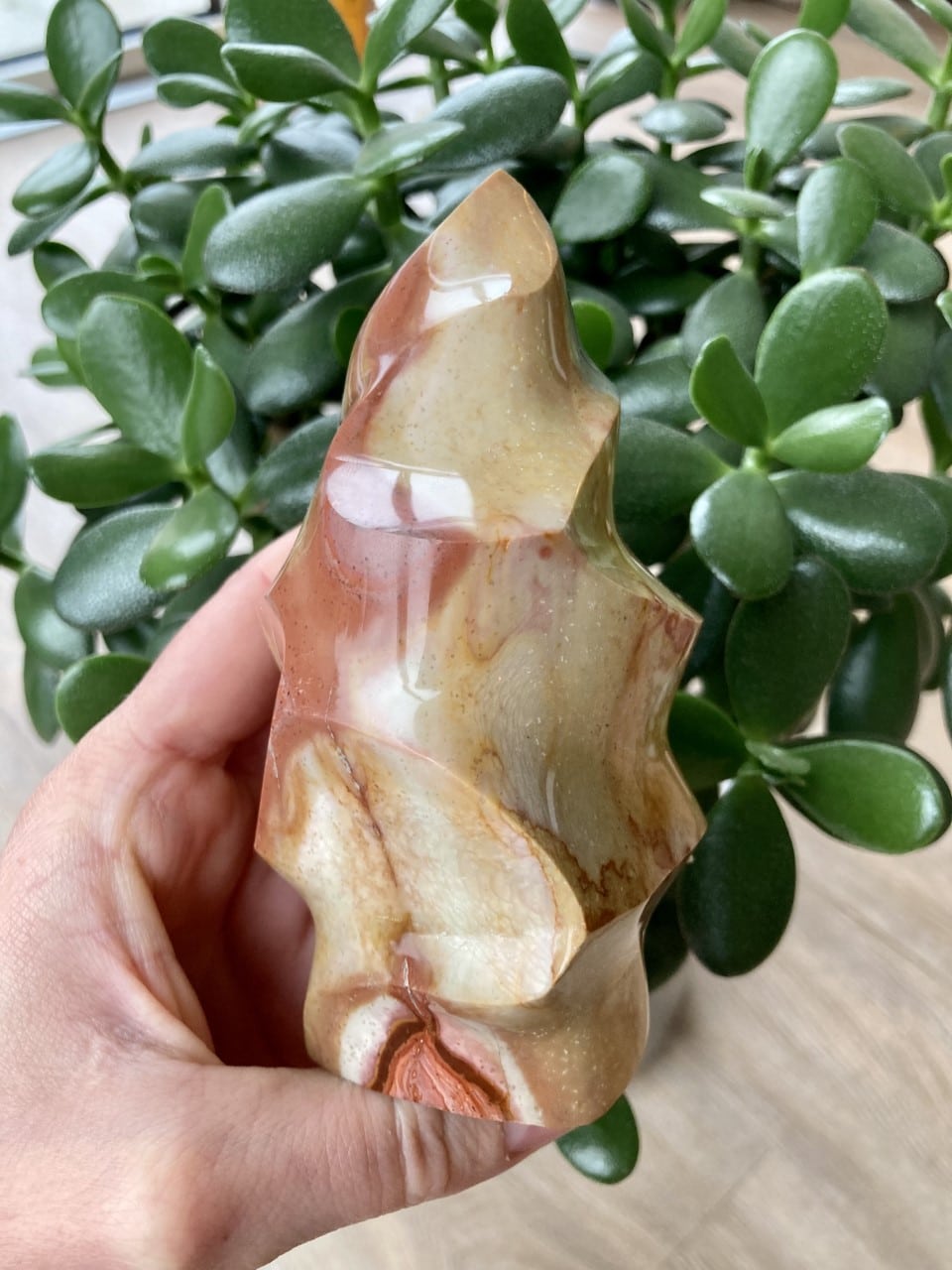 En hånd holder en Jaspis Polychrome flamme foran en grøn plante.