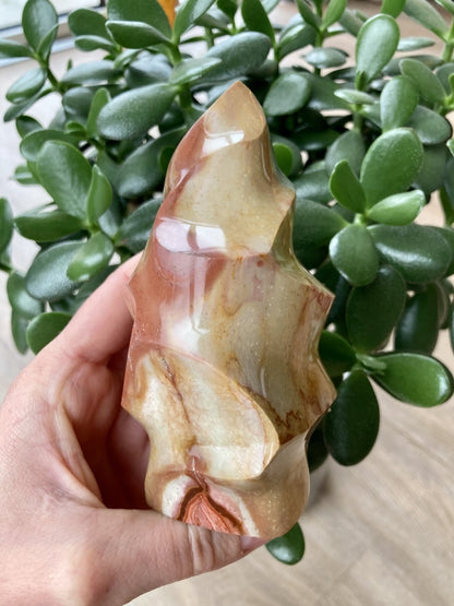 En hånd holder en Jaspis Polychrome flamme foran en grøn plante.